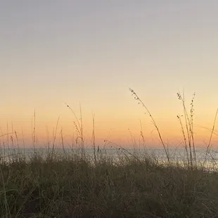 Sunset from across the street