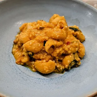 October 13, 2022; Lumache pasta with winter squash, squid, and nduja.