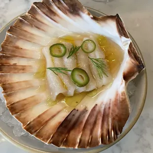 Dayboat Scallop