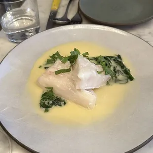 Halibut