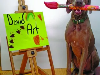 David Art Center