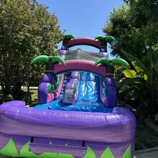 Water slide purple 16ftH