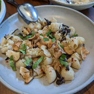 sonora wheat LUMACHE, sunchoke, black trumpet mushroom, piment d&apos;espelette     26