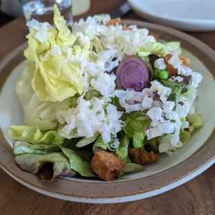BUTTER LETTUCES, meyer lemon, spring peas, garlic crouton, point reyes toma     17