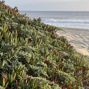 Just a two minute walk from our campsite