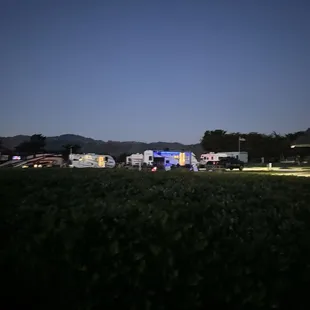 The premium campsite row in front of the beach