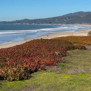 Beautiful ocean view.