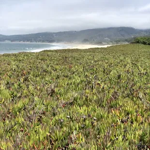 Ocean view from our camp.