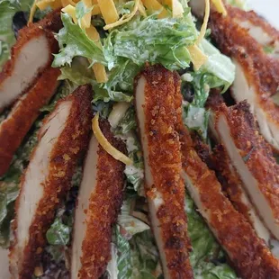 Crispy Chicken Salad