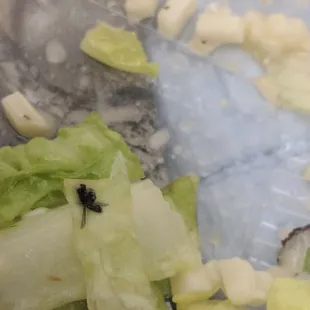 My fiancee found this in his salad today. Never ever coming back. The staff is also rude and the restaurant has just gotten dirty.