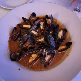 Mussels