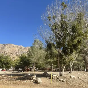 Camping spaces with plenty of trees and views