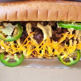 Texas Forever dog (#4)