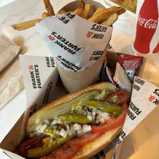 Chicago hotdog and fries
