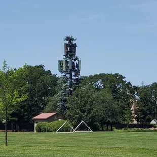 They have a tower that looks like a tree