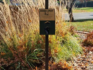 Pedersen Park