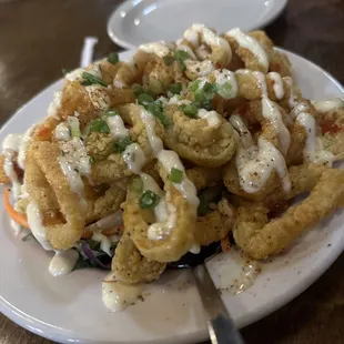 Calamari