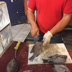Fresh water bream!