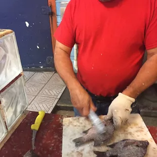 a man cutting up a fish