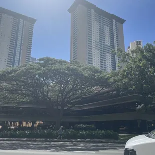 Across the street from is the 650 peoples open market