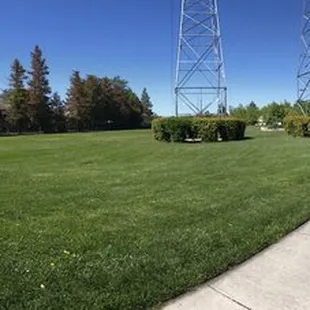 Open Grassy areas