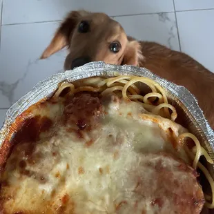 food, pasta dish, pasta