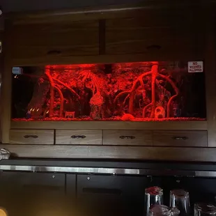bar area