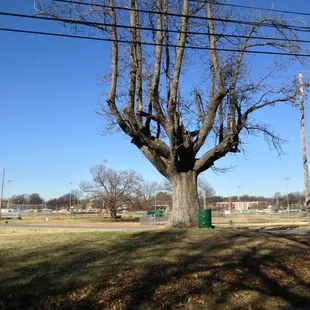 2012-12-22; Frank Tobey Park, Memphis TN