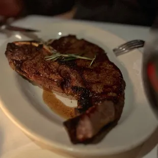 Dry aged T-bone steak