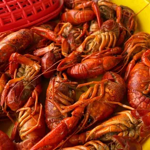 pasta dish, food, pasta