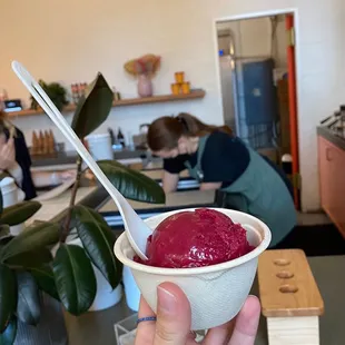 Beet strawberry rose sorbet (mini size)