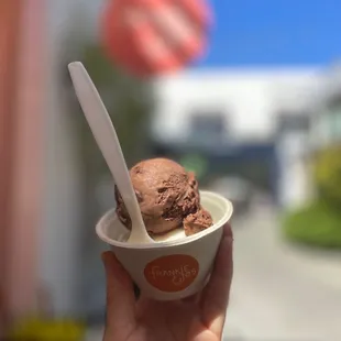 a hand holding a cup of ice cream