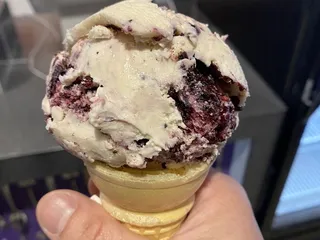 Purple Door Ice Cream