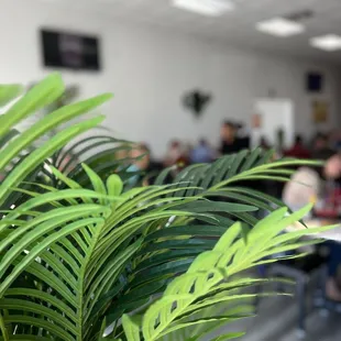ramen and noodles, interior