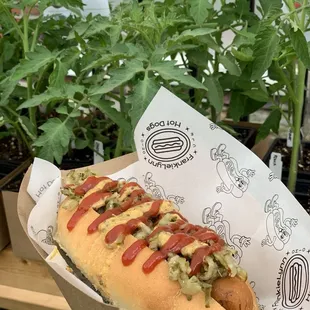 a hot dog with mustard and ketchup