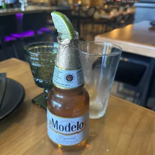 Modelo served with chilled glass