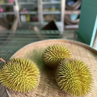 two durian fruits