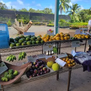 Love the fresh fruit available for purchase here