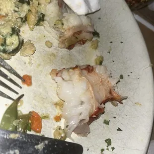 Raw Jumbo Stuffed Maine Lobster Tail