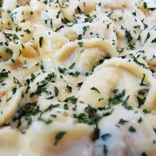 Fresh alfredo tortellini.