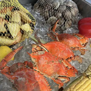 Crabs