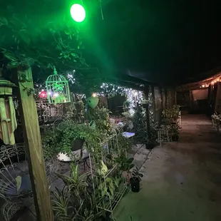Back area