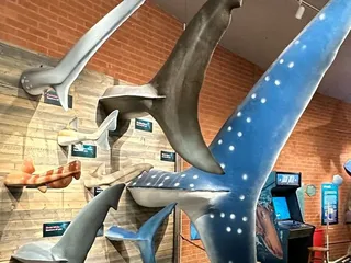 Flandrau Science Center & Planetarium