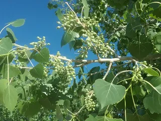 River Park Trail