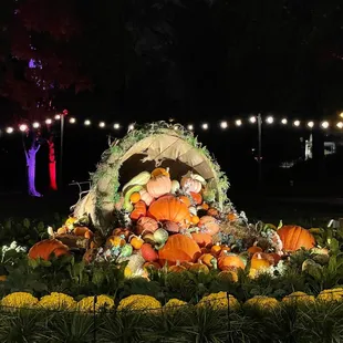 Pumpkins Aglow 2022