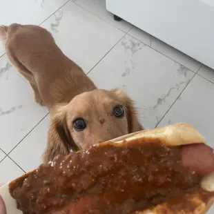 Oops spilled some on his face and he didn&apos;t know. Chili on the hot dog lol