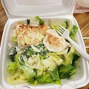 Chicken ceasar salad