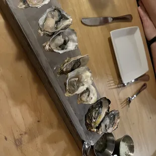 Oysters!