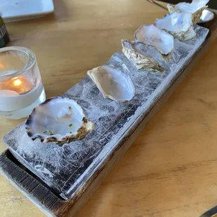 Nice ice tray - oysters were too tasty so they couldn&apos;t last before we took photos