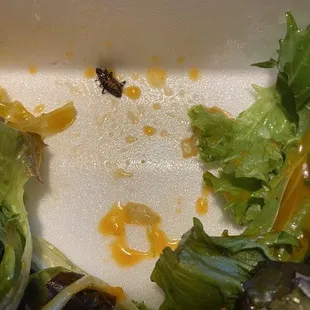 Salad with side of bug